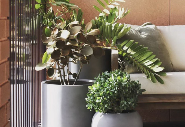 Must-Shop Planters